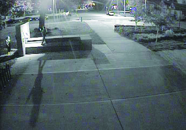 Caught Purple-Handed. SHS security cameras catch LSHS seniors in the act of vandalizing the property. The picture was posted on social media, and the students were punished for their behavior. “[I was] more disappointed than shocked. I wasn’t too surprised that it happened. But it's a shame that it happened ... the spray paint on their school was too much. We can have a tradition without needless vandalism,” senior Dakota Canchella said.