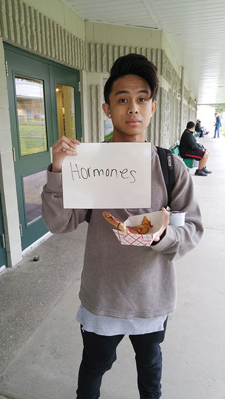 “You see so many pimples on everyone’s faces, constant mood and personality changes, and adolescents filled with lustful temptation.  That’s why I wrote ‘Hormones’,” said senior Desi Sabares.