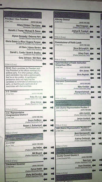 voting