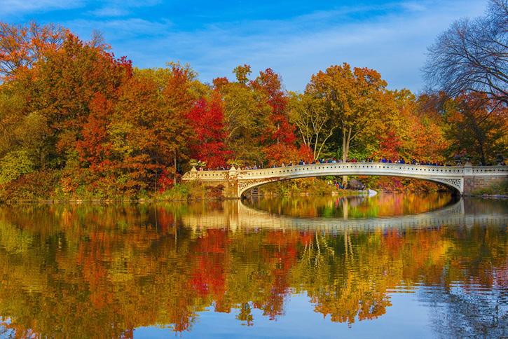 Fall is here, the leaves are changing, and there are plenty of things to do. Need an idea? There are plenty of things going on around LSHS!