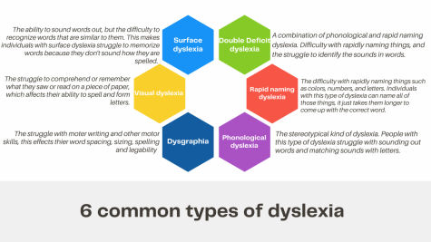 Individual types of dyslexia impact students in different ways. The six categories were created by experts to separate the most common forms of dyslexia from each other. Tutors/educators can construct strategies that are more specific for each individual type of dyslexia using these distinct characteristics. [Kids with dyslexia] are all different. Theres not one thats the same, Rhonda Peterson, a tutor who specializes in teaching students with dyslexia stated.