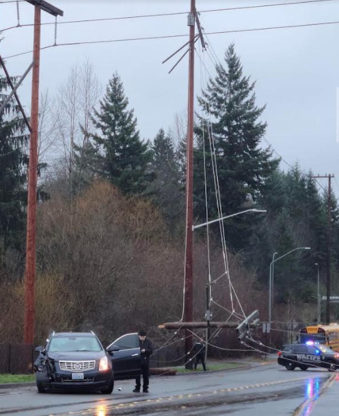 Most popular post: With 536 likes, this photo of a car wreck is the most well-known @lshsbadparking post. The car wreck shown happened Jan. 7, when school was canceled due to road conditions. I think the once-ler confused the trees for the power pole, the caption said.