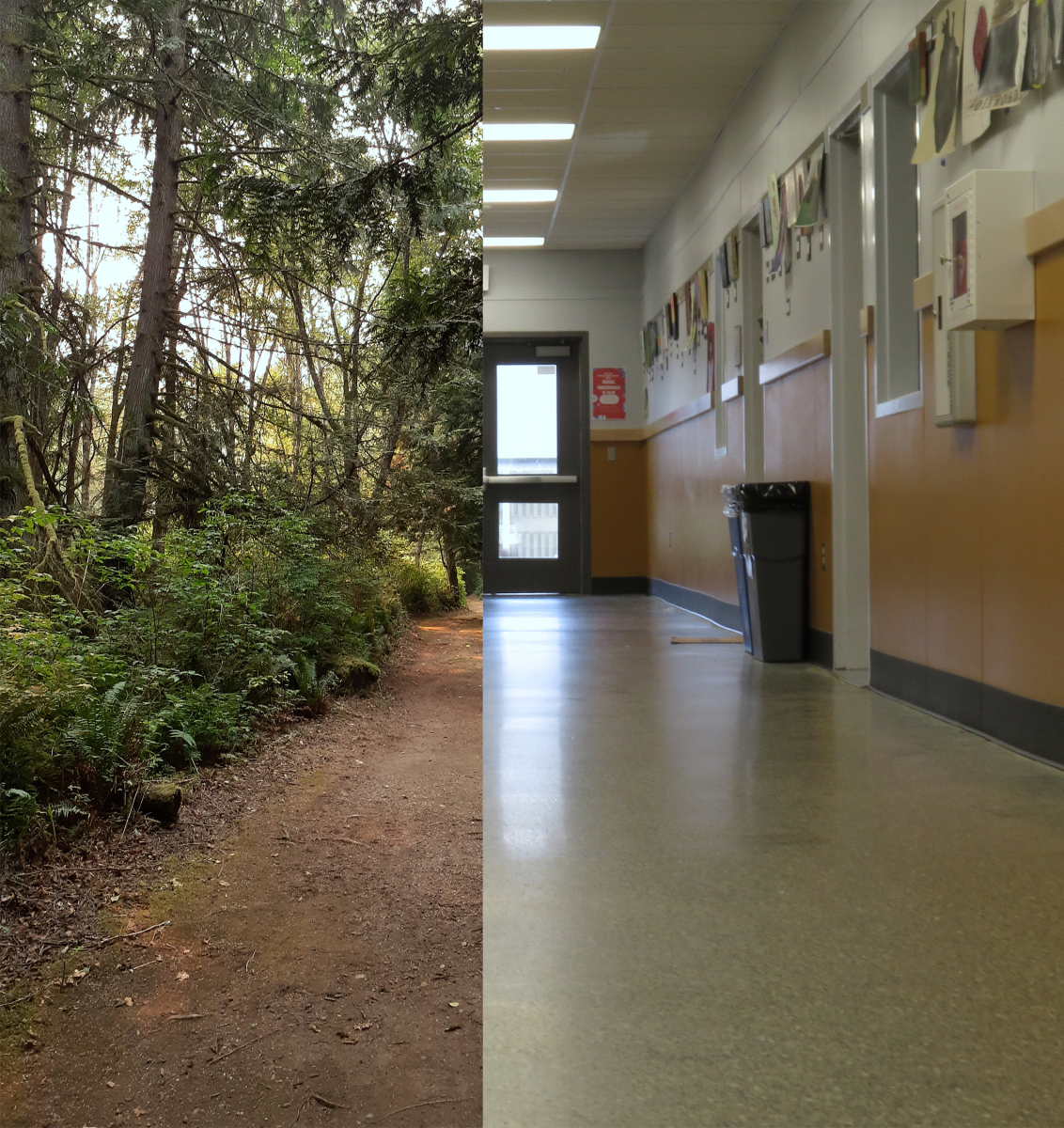 School flowing in home life shown by the hallway over taking the outdoors.