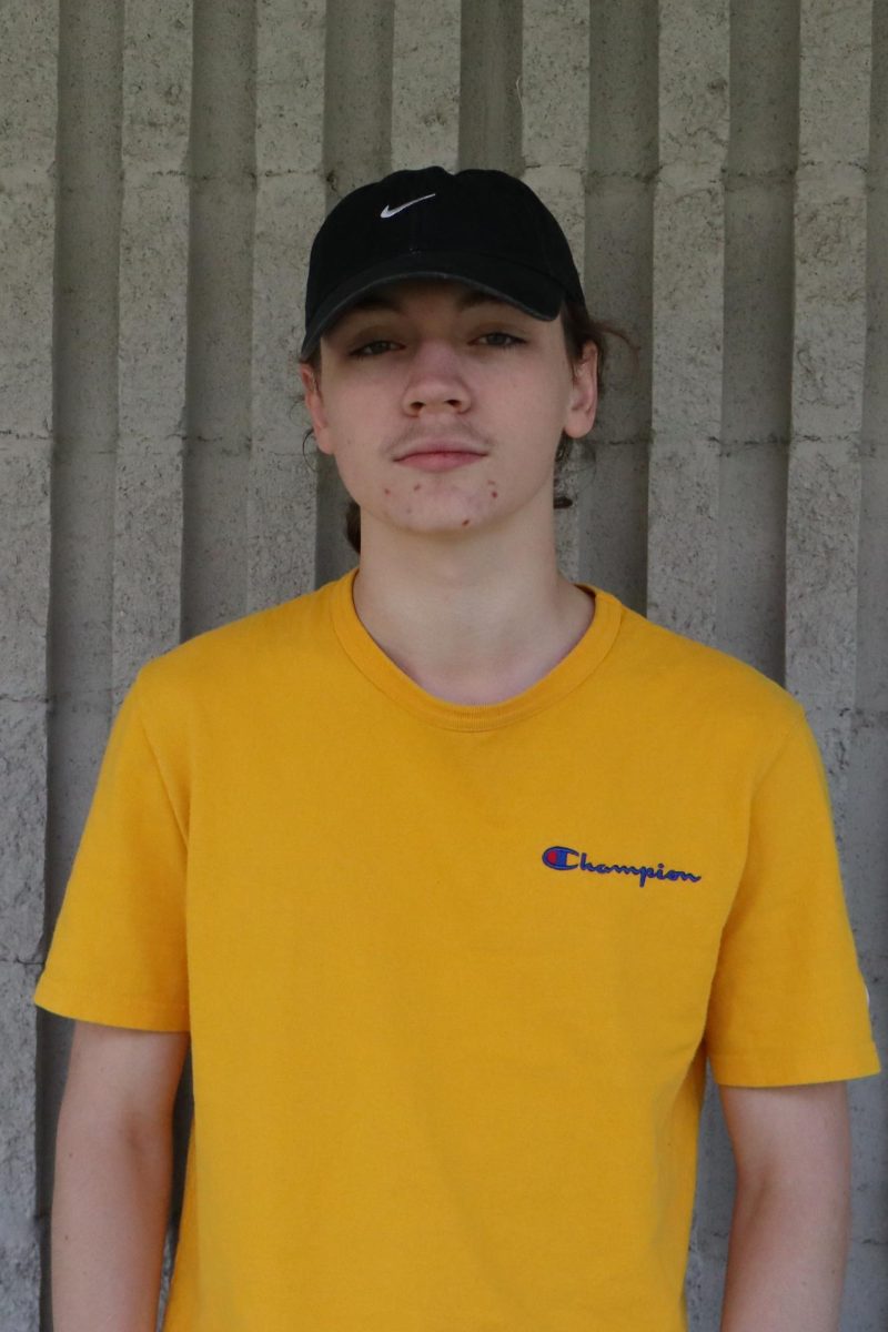 DmytroGrytskanyuk_staffprofile_NayanMahler