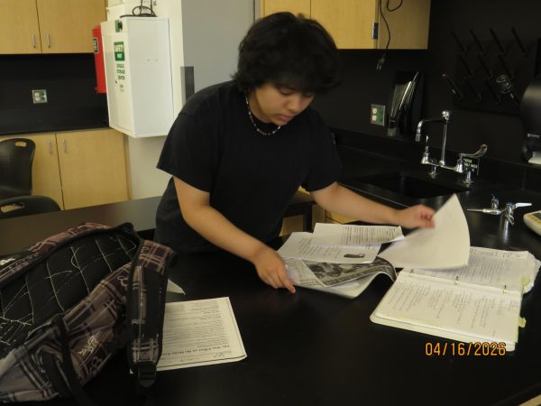 Junior Annalynn Mendiola depicts students who have to scavenge through piles of work not required to graduate.